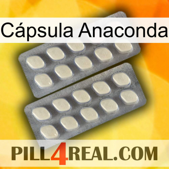 Cápsula Anaconda 07.jpg